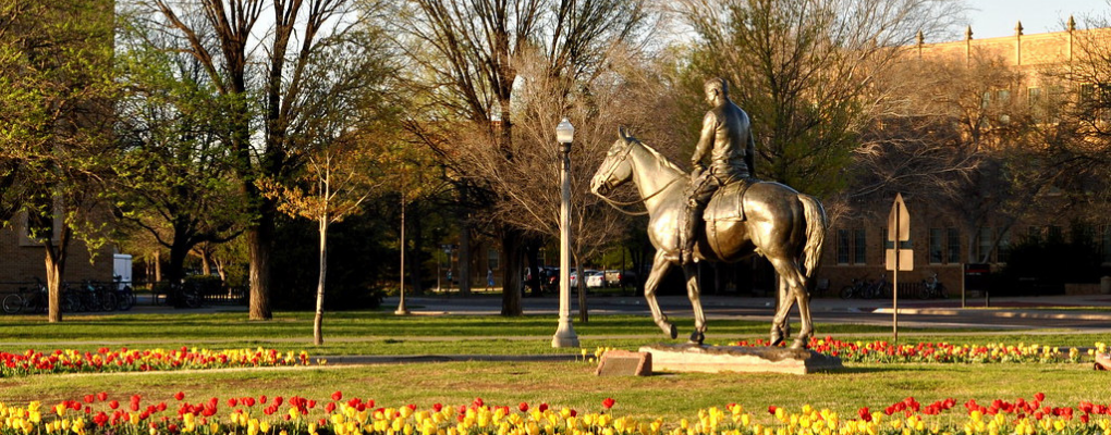 texas-tech-guide.png