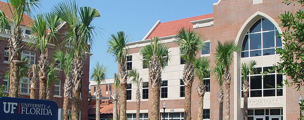university-of-florida-guide.jpg