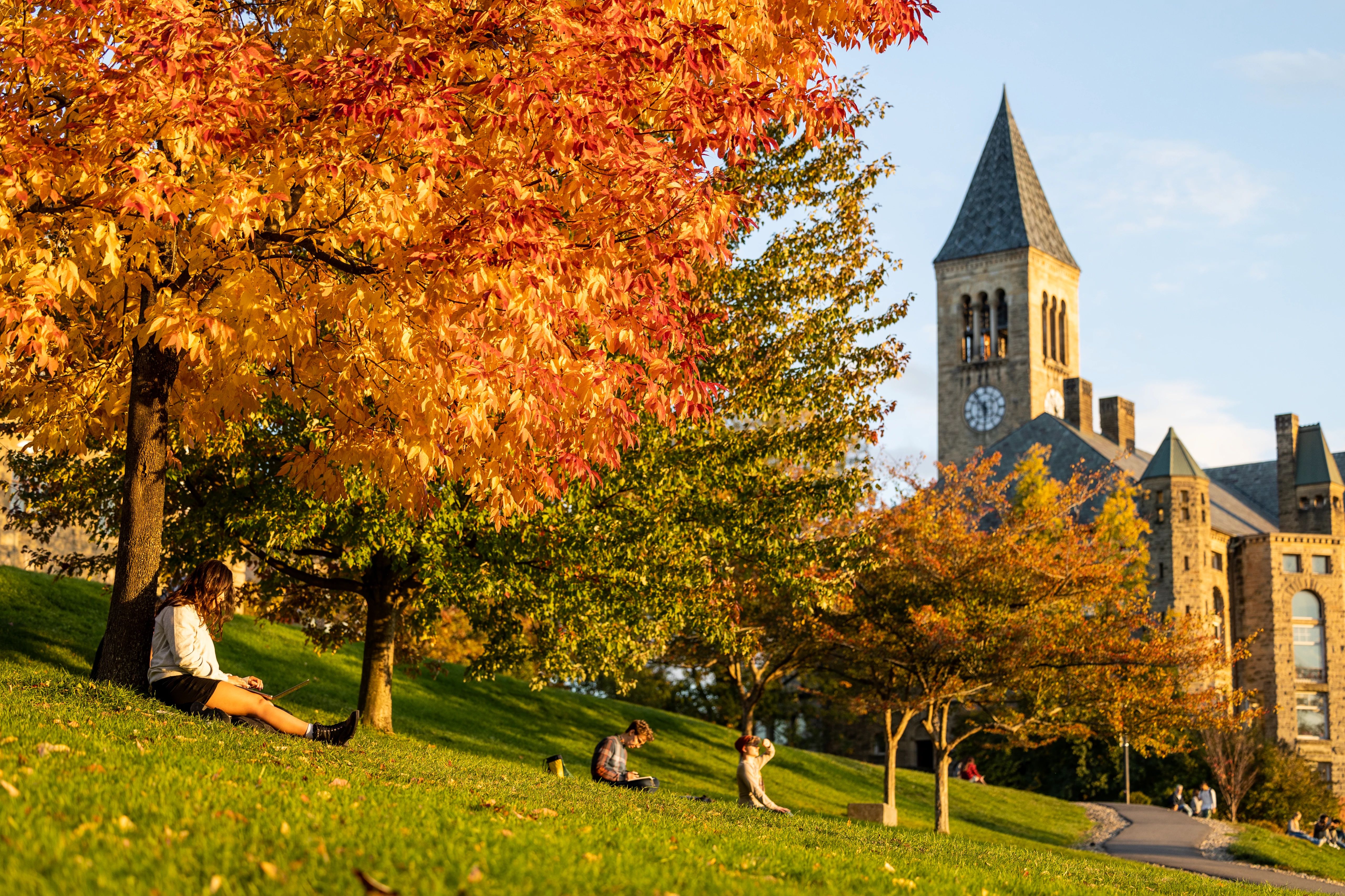 Off-Campus Housing Marketplace