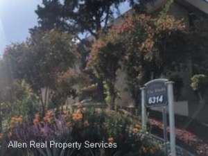 6314 Friars Rd. #220