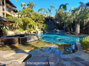 Hidden Oasis in Serra Mesa