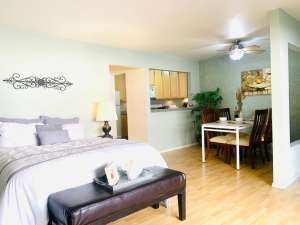 BEAUTIFUL CONDO! 2 MINUTE WALK TO CAMPUS!