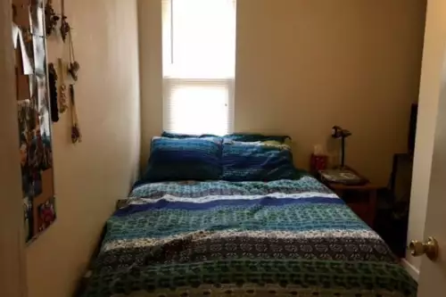 S Bed 453 W Washington Ave, Madison, WI 53703 8