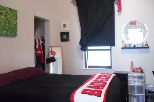 S Bed 453 W Washington Ave, Madison, WI 53703 19