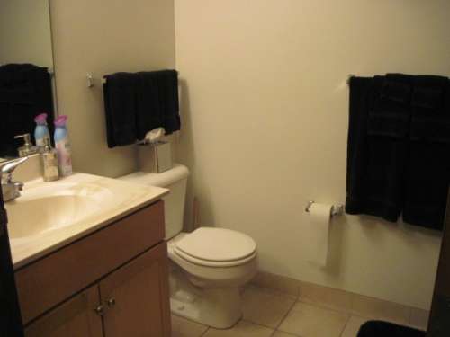 S Bed 420 West 529