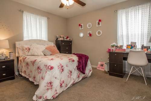 S Bed Log Hill Off College 3