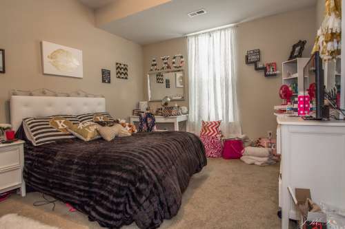 S Bed Log Hill Off College 25