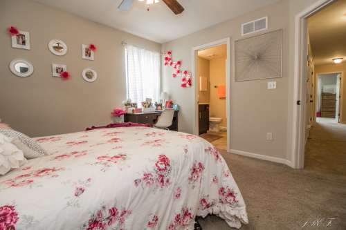 S Bed Log Hill Off College 23