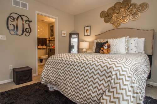 S Bed Log Hill Off College 21