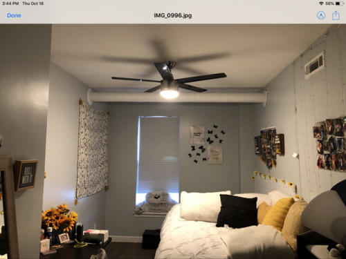 S Bed 213 Chenango St - Student Housing 29