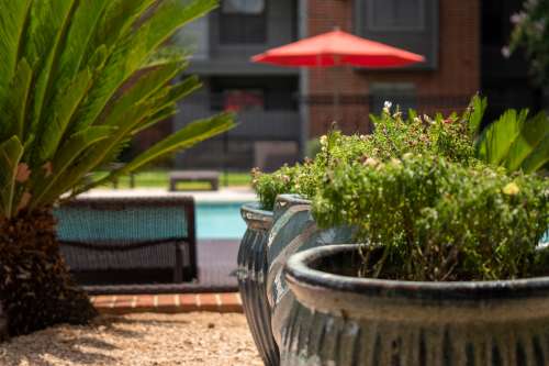 S Bed Clarewood Apartments 9