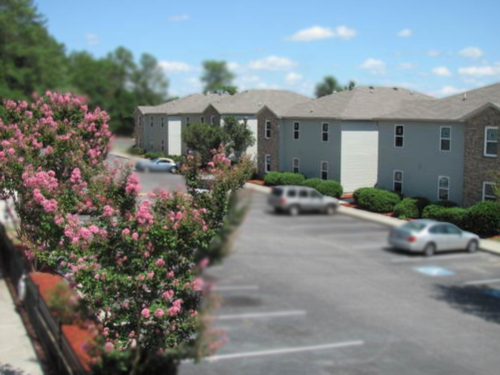 S Bed Campus Side Apartments 1