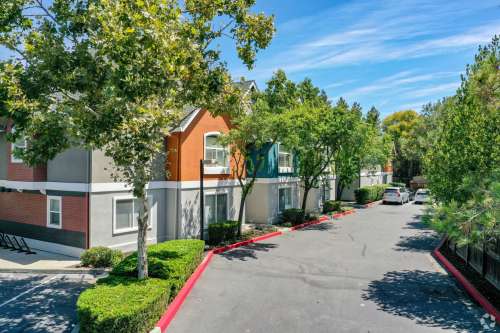 S Bed Oakshade Commons- Davis 21