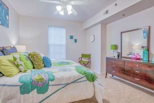 S Bed The Grindstone at Columbia 13