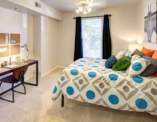 S Bed The Grindstone at Columbia 11