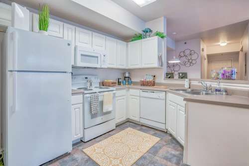 S Bed The Grindstone at Columbia 5