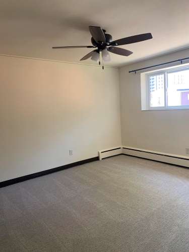 S Bed 241 Langdon 41