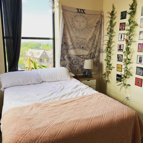 S Bed 229 State 6