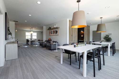 S Bed The Collective at Columbia 59