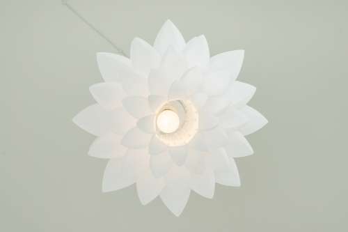 Lotus Residences | uPenn & Penn Medicine 3