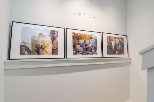 Lotus Residences | uPenn & Penn Medicine 1