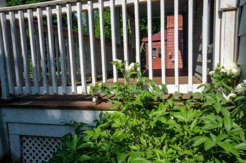 S Bed 1335 Madison Street - Available 06/01/26 - Spacious Single F 34
