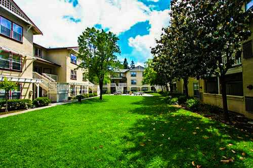 S Bed Greystone Apartments 0