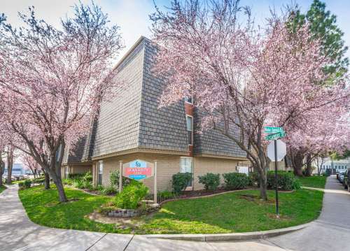 S Bed University Court 38