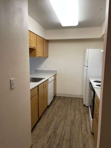 2025-05/large3R6Pv1747278927.jpg