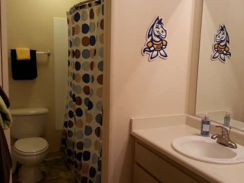 S Bed University Court 103