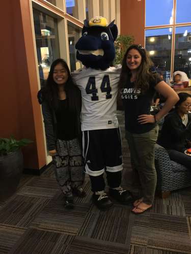 S Bed University Court 145