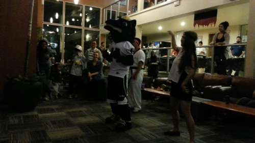 S Bed University Court 140