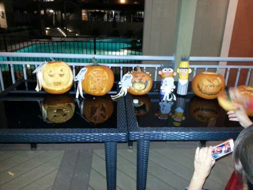 S Bed University Court 136