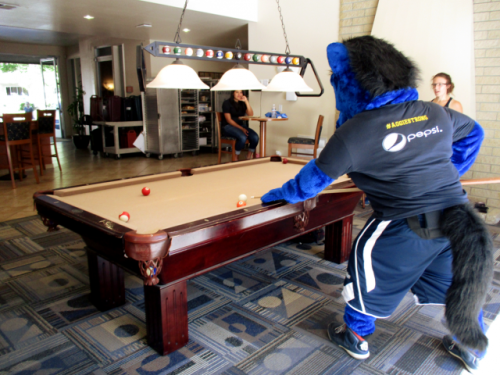 S Bed University Court 119