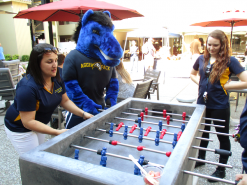 S Bed University Court 118