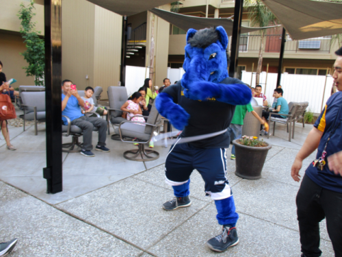 S Bed University Court 117