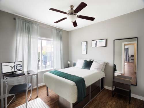 S Bed Vie Lofts at San Marcos 16