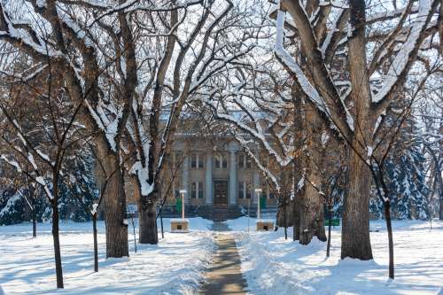 S Bed Union on Alley 17