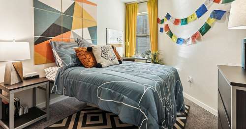 S Bed Stadium Apartments:  Off-Campus Student Housing 5