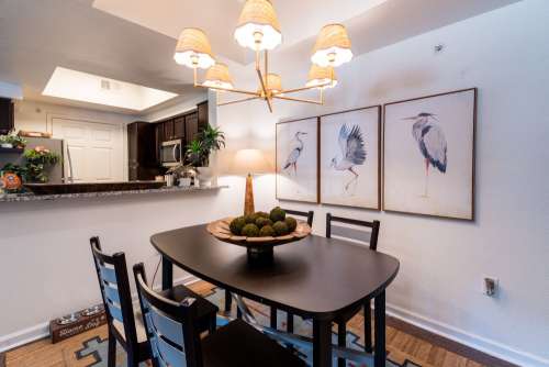 S Bed Dakota Ranch Student Apartments 7