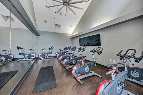 S Bed The Avenue at San Marcos Apartments 62