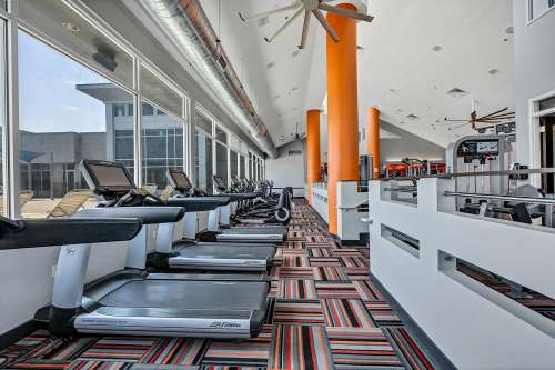 S Bed The Avenue at San Marcos Apartments 55