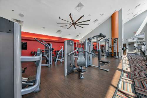 S Bed The Avenue at San Marcos Apartments 68