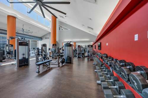 S Bed The Avenue at San Marcos Apartments 69