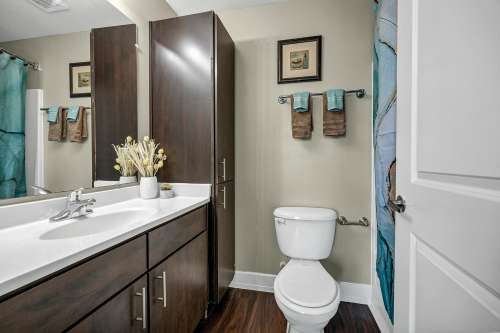 S Bed The Avenue at San Marcos Apartments 33