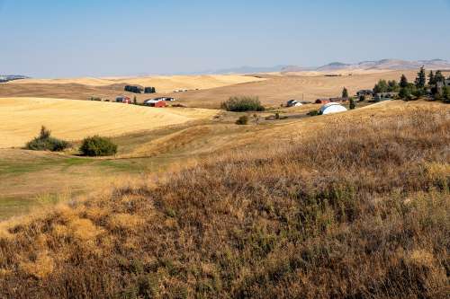 S Bed Birch Hills Apartments 63