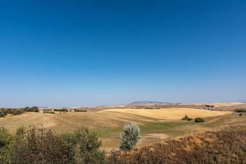 S Bed Birch Hills Apartments 62