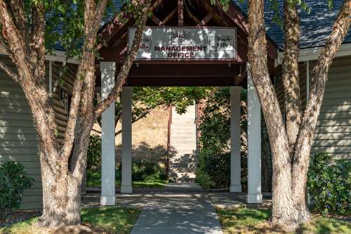 S Bed Birch Hills Apartments 54