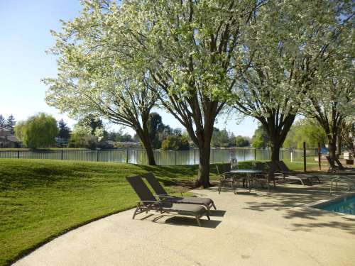 S Bed Lakeshore Apartments - Lake Views! 171