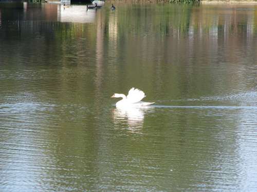 S Bed Lakeshore Apartments - Lake Views! 216